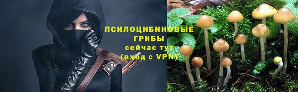 мяу мяу мука Абаза