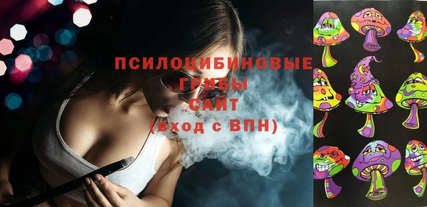 мяу мяу мука Абаза