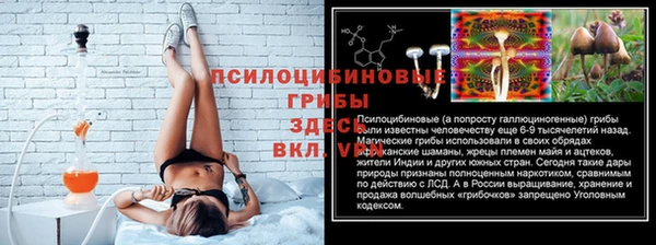 трава Абинск