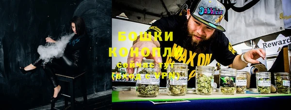 стафф Россошь