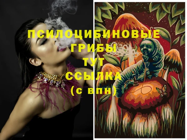 бошки Алексеевка