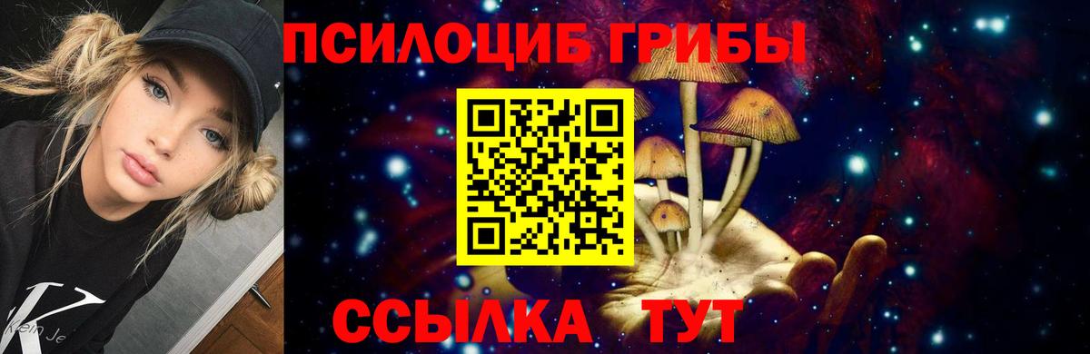 Псилоцибиновые грибы Psilocybine cubensis Советский